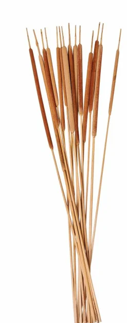AFRIKA Florero Natural