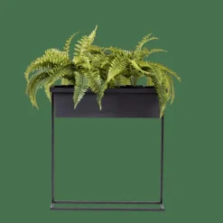 BALCO Caja Para Plantas Negro