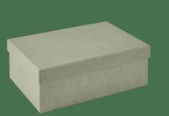 BIGSO Caja De Almacenaje Menta