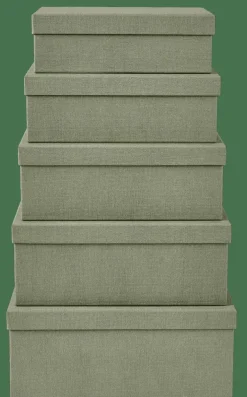 BIGSO Caja De Almacenaje Menta