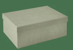 BIGSO Caja De Almacenaje M Menta