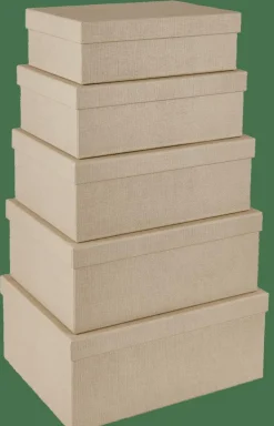 BIGSO Caja De Almacenaje M Natural