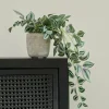 CALATHEA Planta Colgante Gris, Verde, Morado