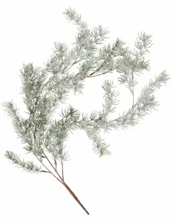 CEDER Rama Decorativa Verde