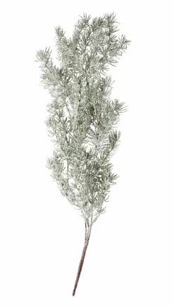 CEDER Rama Decorativa Verde