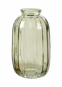 CEDER Rama Decorativa Verde