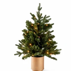 CEDER Rama Decorativa Verde