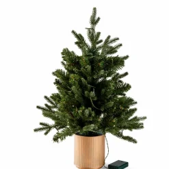 CEDER Rama Decorativa Verde