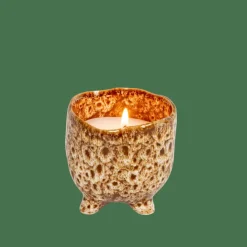 CERAMIC Vela En Maceta Marrón