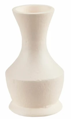 CHRYSANTHEMUM Beis