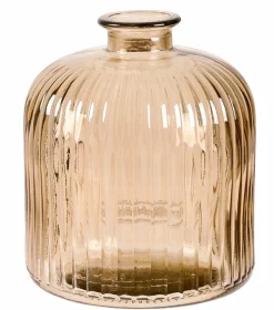 CIPRA Tallo Marrón