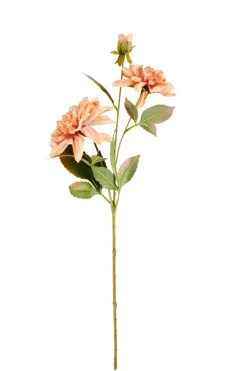 DAHLIA Rama De Flores Melocotón