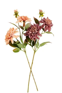 DAHLIA Rama De Flores Melocotón