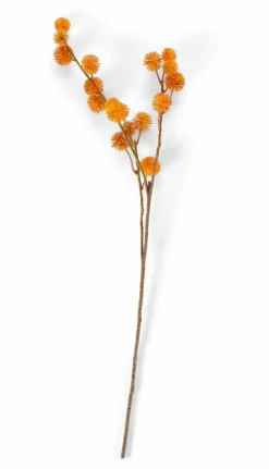 DANDIL Tallo Naranja