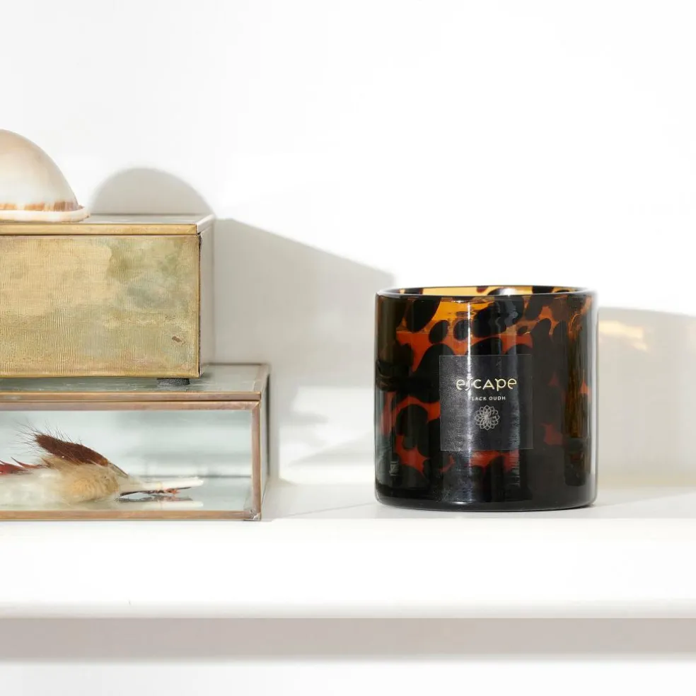 ESCAPE BLACK OUDH Marrón, Ocre, Multicolor