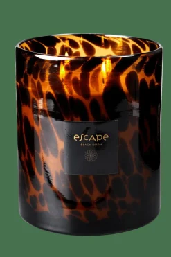 ESCAPE BLACK OUDH Negro, Marrón, Ocre