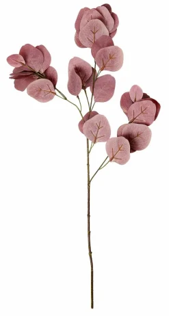 EUCALYPTUS Corona Verde