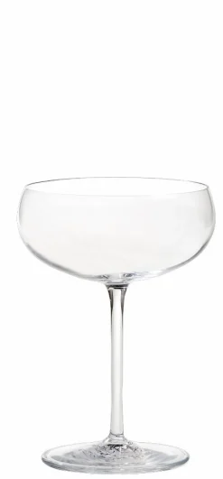 FANCY Cañas Para Cóctel Con Escobilla Plateado