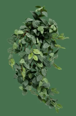 FITTONIA Guirnalda De Hojas Verde