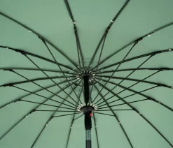 FLORIA Parasol Caqui