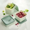 FREEZER Cajas Congeladoras Juego De 10 Menta, Verde Oscuro