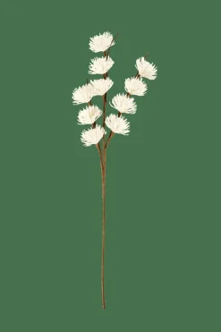FROST Alerce Blanco