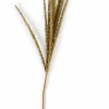 GOLDENROD Tallo Blanco