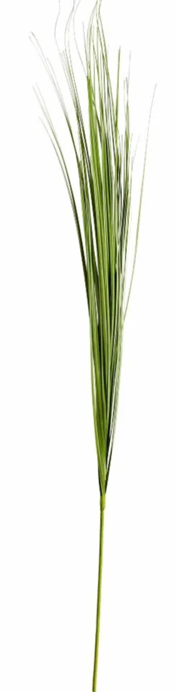 GRASS Haz De Hierba Rojo