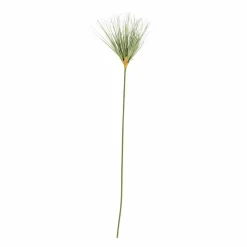 GRASS Haz De Hierba Rojo