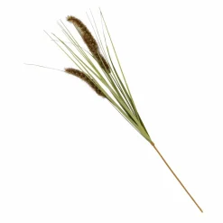 GRASS Haz De Hierba Verde