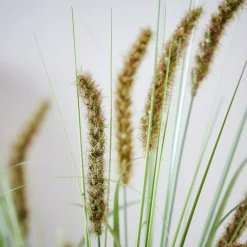 GRASS Haz De Hierba Verde