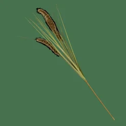 GRASS Tallo De Carrizo Artificial Verde