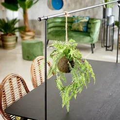 GREENERY Macetero Colgante Con Helecho Verde
