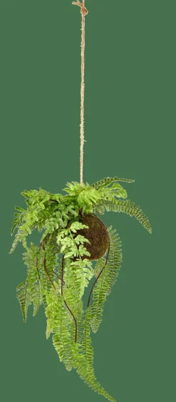 GREENERY Macetero Colgante Con Helecho Verde
