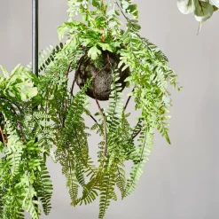 GREENERY Macetero Colgante Con Helecho Verde