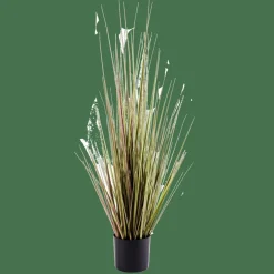HERBA Hierba En Maceta Verde