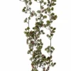 HYMNE Rama Decorativa