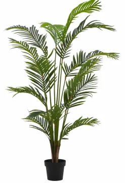 KWAI Palmera Verde