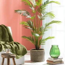 KWAI Palmera Verde