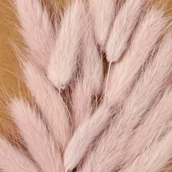 MINA Decoración Seca Rosa