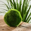 MOSS Bola De Musgo Verde