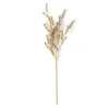 MOTHERWORT Rama De Hierba Dorado