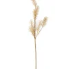 PAMPA Hierba De Las Pampas Blanco