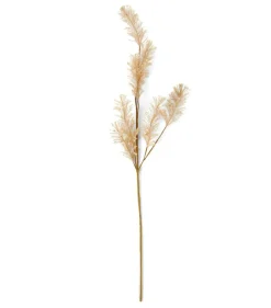 PAMPA Hierba De Las Pampas Blanco