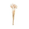 PAMPLONA Florero Crema