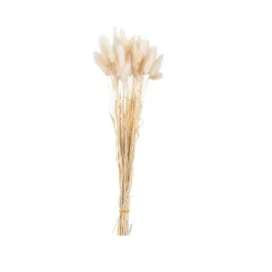 PAMPLONA Florero Crema