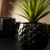 PINA Piña En Tarro Negro