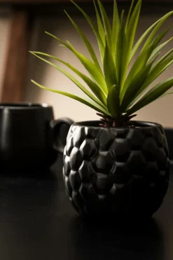 PINA Piña En Tarro Negro