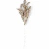PINE Seta