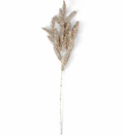 PINE Seta